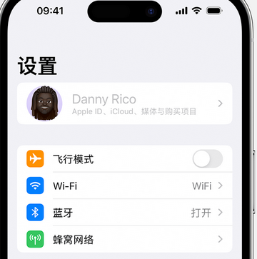 和田appleID维修服务iPhone设置中Apple ID显示为灰色无法使用