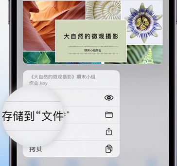 和田apple维修中心分享iPhone文件应用中存储和找到下载文件