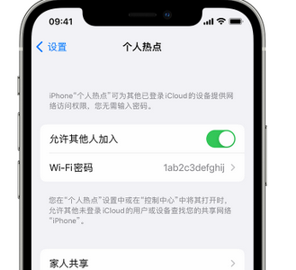 和田apple服务站点分享iPhone上个人热点丢失了怎么办