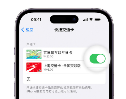 和田apple维修点分享iPhone上更换Apple Pay快捷交通卡手绘卡面 