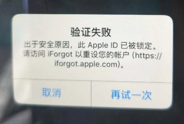 和田iPhone维修分享iPhone上正常登录或使用AppleID怎么办 