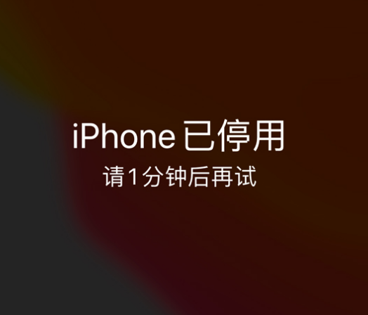 和田苹果手机维修分享:iPhone 显示“不可用”或“已停用”怎么办？还能保留数据吗？ 