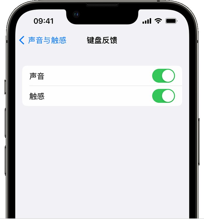 和田苹果14维修店分享如何在 iPhone 14 机型中使用触感键盘 