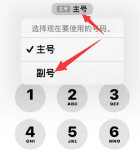 和田苹果14维修店分享iPhone 14 Pro Max使用副卡打电话的方法 