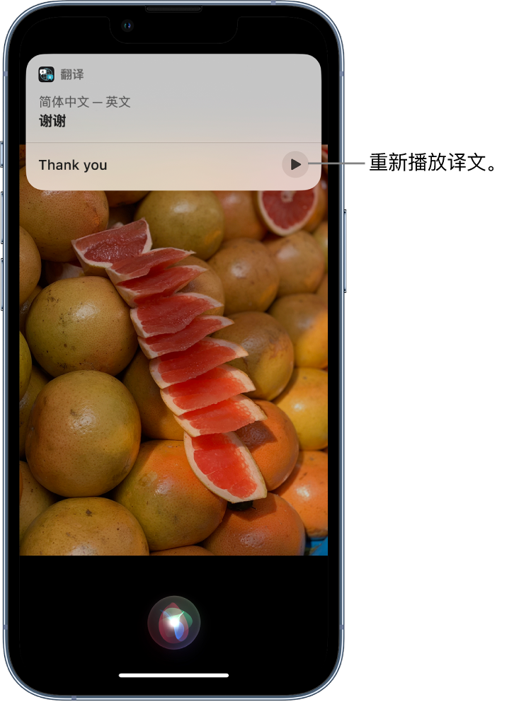 和田苹果14维修分享 iPhone 14 机型中使用 Siri：了解 Siri 能帮你做什么 