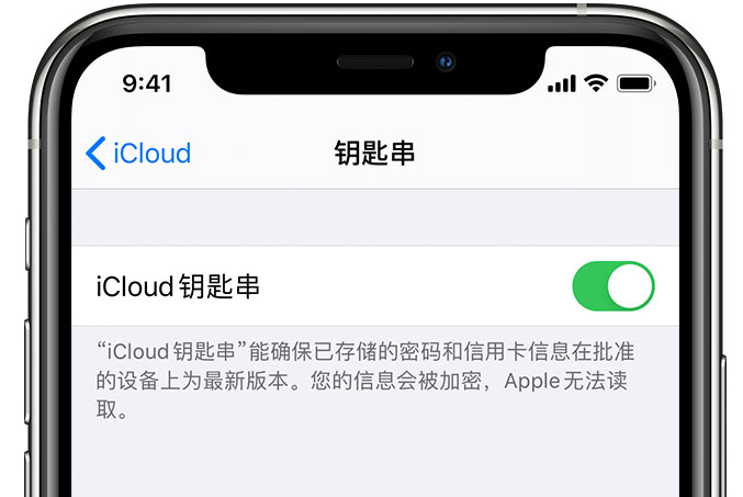 和田苹果手机维修分享在 iPhone 上开启 iCloud 钥匙串之后会储存哪些信息 