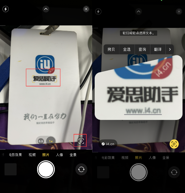 和田苹果手机维修分享升级iOS 16后如何通过相机翻译文本 
