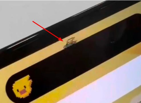 和田苹果14维修分享iPhone 14 Pro Max灵动岛怎么养宠物 