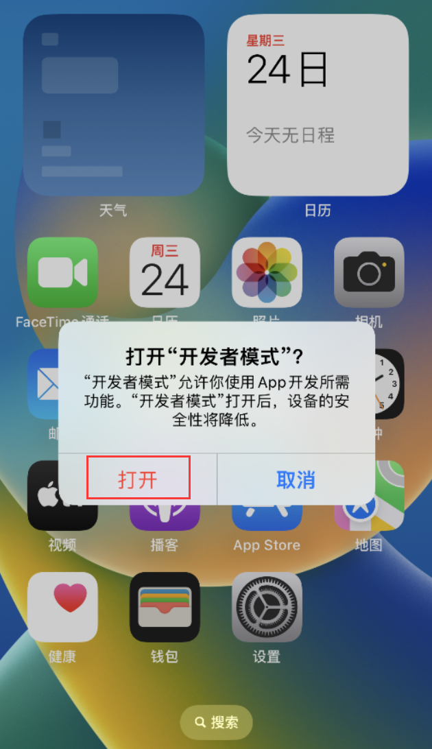 和田苹果手机维修分享如何打开开发者模式 