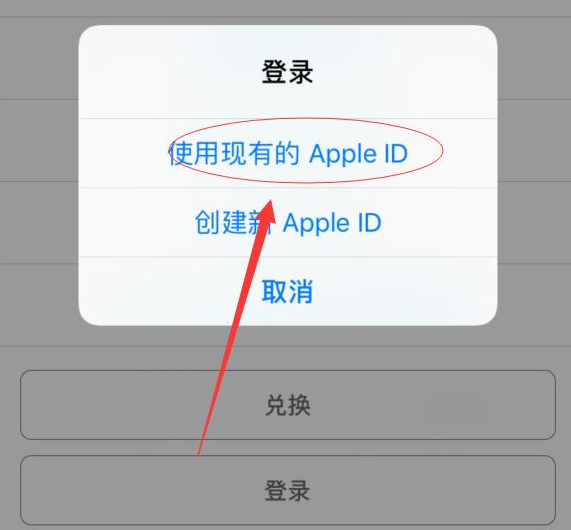 和田苹果手机维修分享两台iPhone设备可以同时登录一个Apple ID吗 
