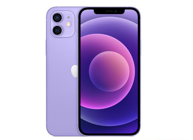 和田苹果手机维修分享现阶段要不要入手紫色版iPhone12 