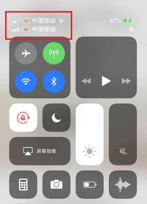 和田苹果手机维修分享为 iPhone 12 双卡设置标签 
